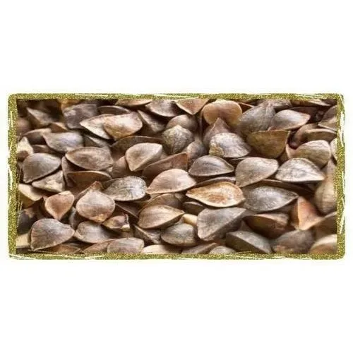 Buckwheat image